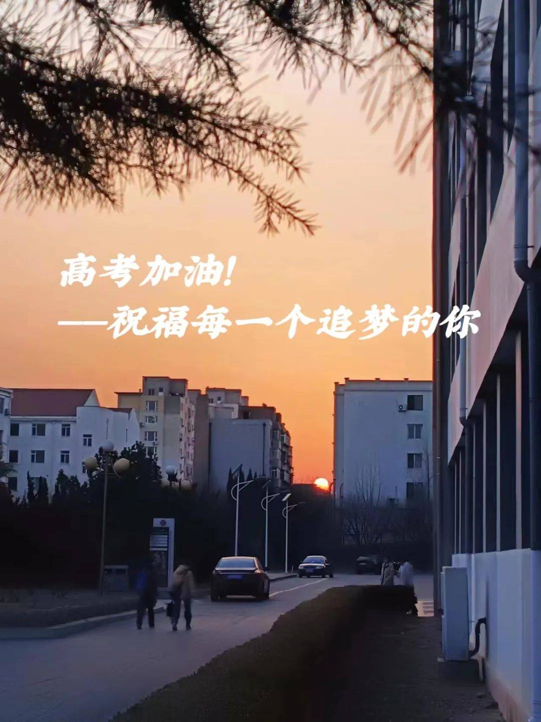 武汉理工大学本科生
