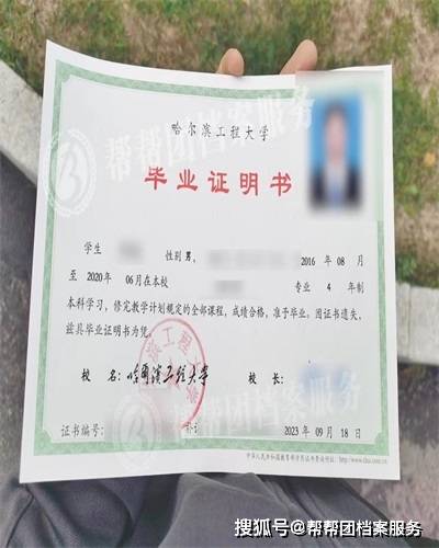 大专证书编号多少位