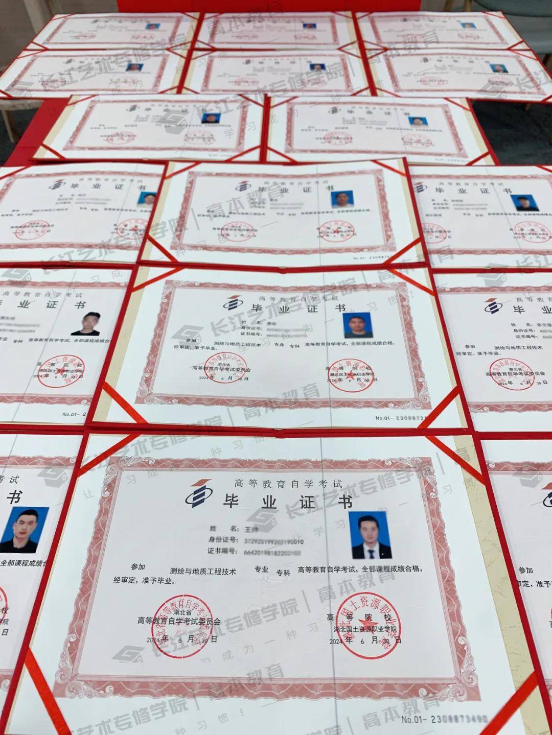 大专证书编号在哪里查
