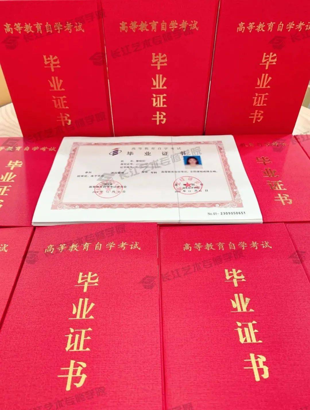 本科证书丢了可以补办吗